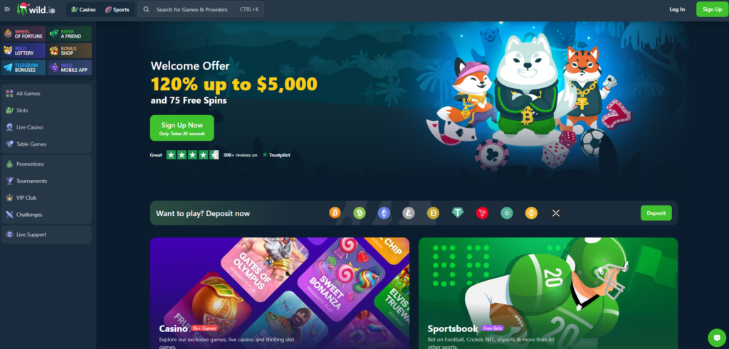 Wild.io Casino